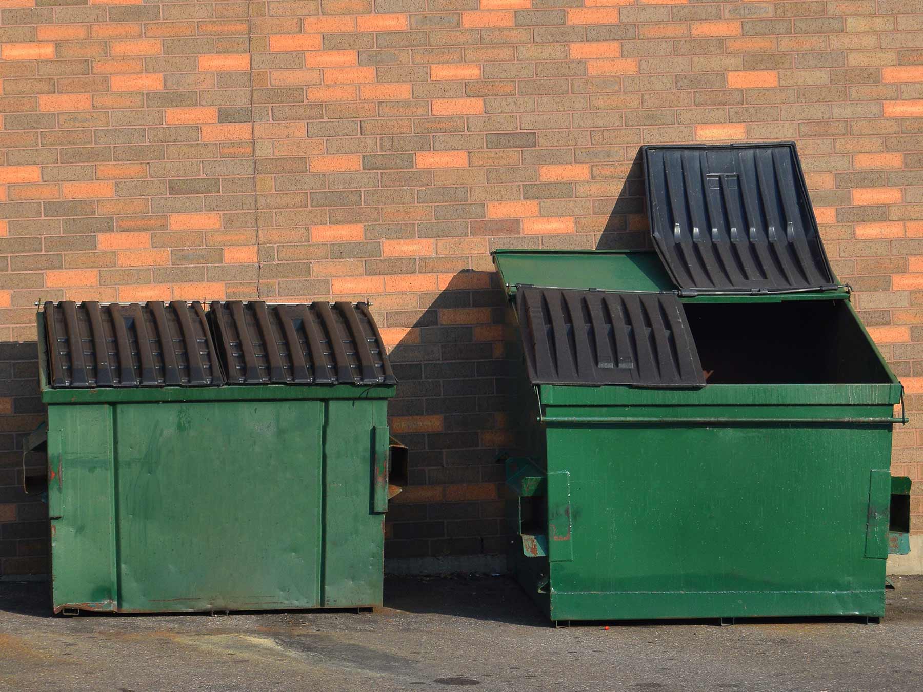 Dumpster Rental-Loveland’s Elite Dumpster Rental & Roll Off Services