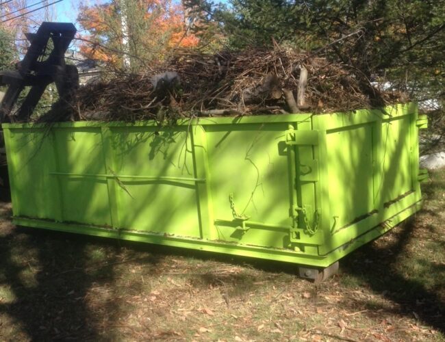 Tree Removal Dumpster Services-Loveland’s Elite Dumpster Rental & Roll Off Services