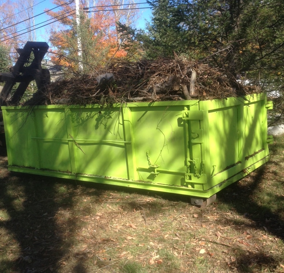 Tree Removal Dumpster Services-Loveland’s Elite Dumpster Rental & Roll Off Services