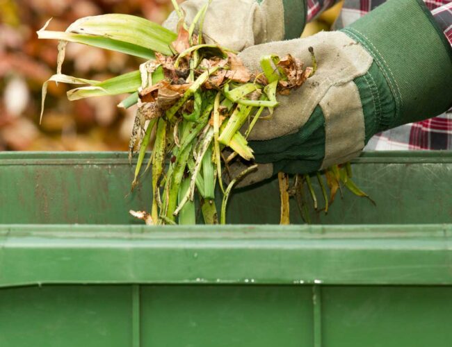 Yard Waste Dumpster Services-Loveland’s Elite Dumpster Rental & Roll Off Services